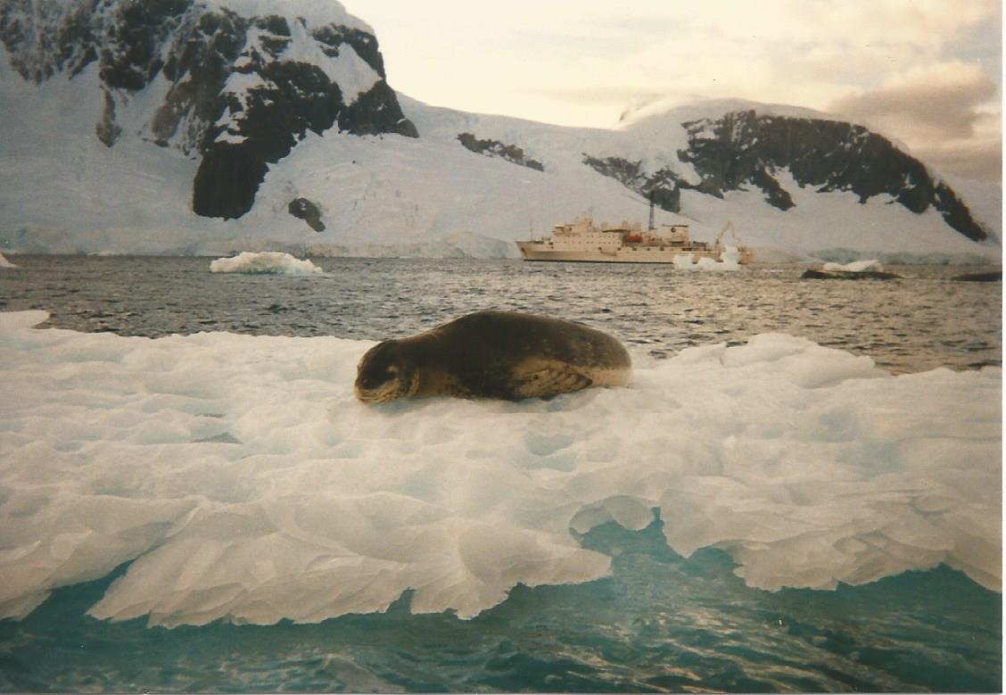 Places Antarctica pic