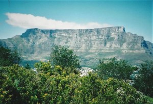 flat-topped Table Mountain framed by shrubbery
