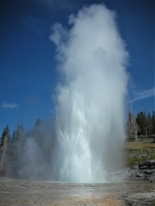 fountain-like geyser erupting in a pool of water and spray