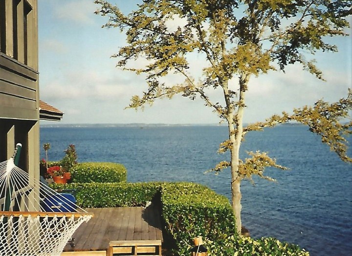 EDITED Lake Murray view