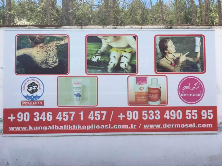 fish spa sign with website and phone details