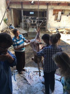 people cutting a lamb up for meat on the sacrifice holiday