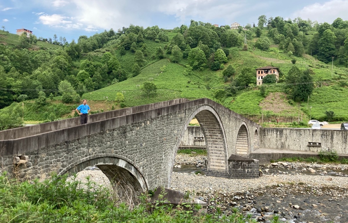 four-arched bridge with tea bushes in background