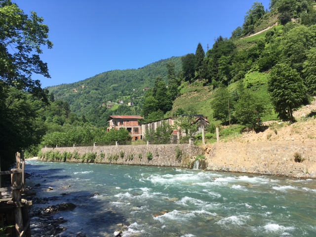 river beside hillsides covered in tea plants